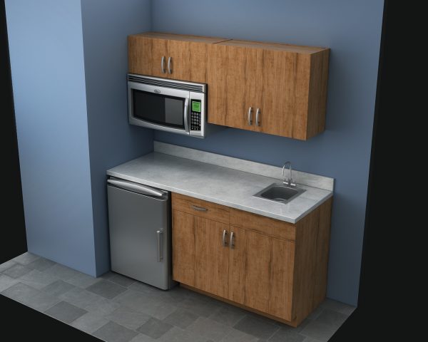 463 Series Custom Kitchenette (2)